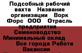 Подсобный рабочий вахта › Название организации ­ Ворк Форс, ООО › Отрасль предприятия ­ Семеноводство › Минимальный оклад ­ 30 000 - Все города Работа » Вакансии   . Приморский край,Артем г.